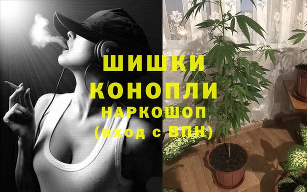 ПСИЛОЦИБИНОВЫЕ ГРИБЫ Балахна