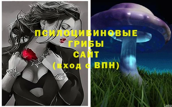 ПСИЛОЦИБИНОВЫЕ ГРИБЫ Балахна